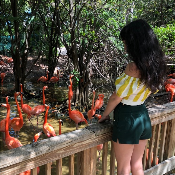 Hm shorts / classy shorts/ high waist shorts - Picture 3 of 7